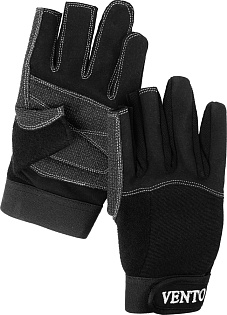 Алекса