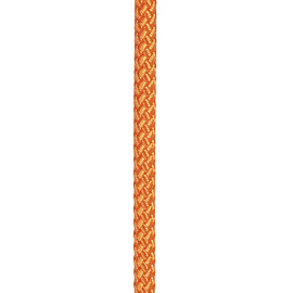 Cord 6 (100м)